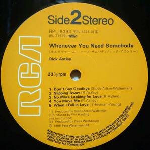 【LP Euro Beat】Rick Astley「Whenever You Need Somebody」JPN盤 Never Gonna Give You Up.Together Forever.When I Fall In Love 他！ の画像4