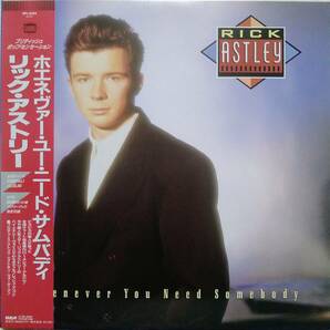【LP Euro Beat】Rick Astley「Whenever You Need Somebody」JPN盤 Never Gonna Give You Up.Together Forever.When I Fall In Love 他！ の画像1