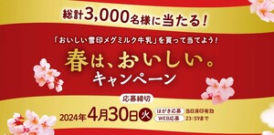 レシート懸賞応募 春はおいしいキャンペーン　BRUNOステンレスデイリーケトルなど当たる　Wチャンスあり　雪印