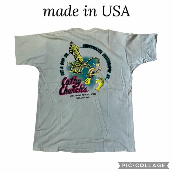 90s フルーツオブザルーム　シングルステッチ　アメリカ製　tシャツ