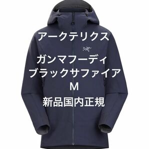 Arc'teryx Gamma Hoody Mサイズ メンズ Black Sapphire新品国内正規アークテリクスガンマフーディ