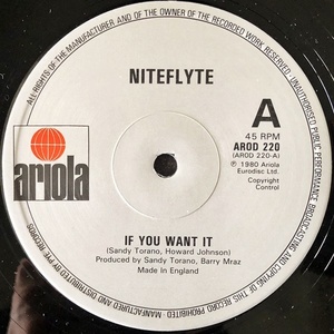 【Disco 12】Niteflyte / If You Want It 