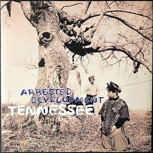 【Disco & Soul 7inch】Arrested Development / Tennessee