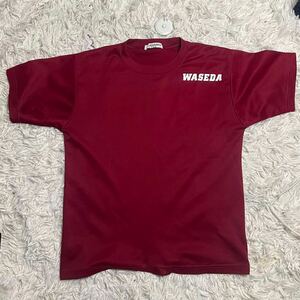  Waseda university rice type . lamp part big Bear -z player supplied goods practice put on . large american football part 