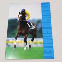 【非売品】 社台スタリオンステーション タニノギムレット 種牡馬パンフレット_画像1