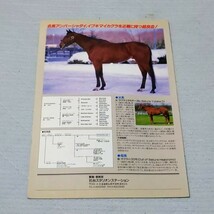 【非売品】 社台スタリオンステーション サクラバクシンオー 種牡馬パンフレット_画像2