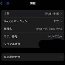 Apple iPad mini （第5世代/2019） Cellular 256GB ゴールド （国内版SIMロックフリー） MUXE2J/A_画像5