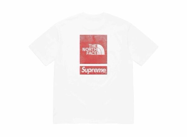 Supreme/The North Face S/S Top シュプリーム/ザ・ノース・フェイス Tシャツ