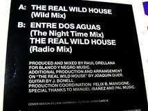12”シングル★Raul Orellana/The Real Wild House★西独盤！_画像3