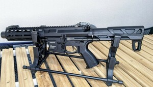 【中古】G&G 電動ガン ARP556 外装カスタム品（18歳以上対象）検）サバゲー サバイバルゲーム エアガン マルイ VFC E&C M4 CYMA ARES