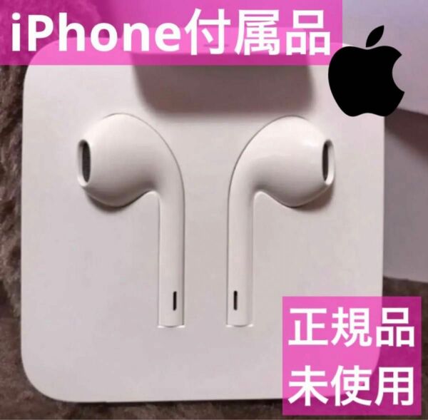 iPhone付属品 純正イヤホン ライトニング 純正 Apple正規品 イヤフォン