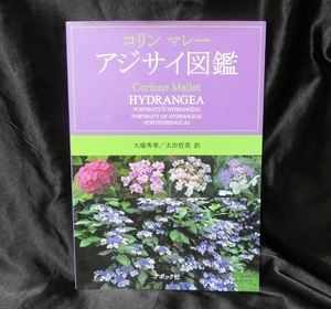 [ hydrangea illustrated reference book ] Colin *mare-##USED publication book@ the first version issue free shipping # structure . for hydrangea certainly .book@669 goods kind compilation 