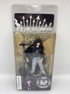 ◇未開封◇ JOEY RAMONE フィギュア　RAMONES ラモーンズ　NECA 激レア未開封