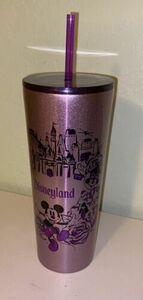 New ~ Starbucks Disneyland Stainless Steel Purple Tumbler Mickey Castle 海外 即決