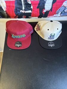 NBA fitted Hats 海外 即決