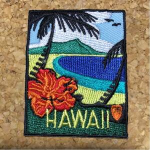 ハワイHawaiiアイロン刺繍ワッペン☆送料63円★ハイビスカス南国