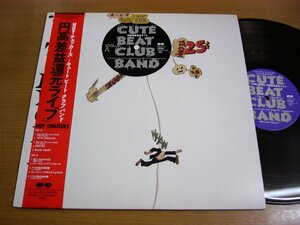 LPw007／キュートビートクラブバンド Cute Beat Club Band(チェッカーズ)：NOT CHECKERS-円高差益還元ライブ.