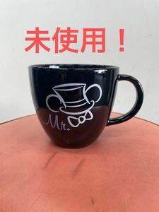 未使用 マグカップ ディズニーリゾート ディズニーランド ディズニーシー 食器 コップ TDR TDL TDS ミッキー ミニー 