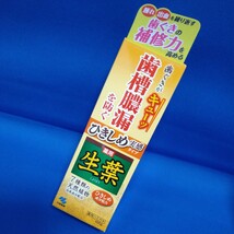 【送料無料・5本セット】新品★薬用 ライオン システマ ハグキプラス 小林製薬 薬用 生葉/トマリナ 歯磨き粉 ハミガキ 薬用ハミガキ_画像5