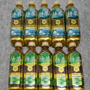 サントリー 緑茶 ジャスミン 伊右衛門 特茶 500ml ペットボトル 10本セット トクホ 特定保健用食品