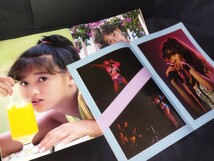 ★美品 本田美奈子 コンサート ツアー パンフレット 2冊セット☆SOLD OUT☆Being Sweet Pop Elfin but Felling Pure Lady 写真集 アイドル_画像5