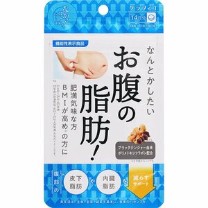 グラフィコ 　皮下脂肪や内臓脂肪を減らす　なんとかしたい 　お腹の脂肪！ 　28粒　14日分　新品　