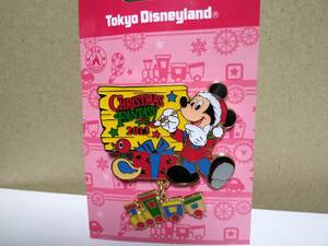 ディズニー 東京ディズニーランド クリスマス ファンタジー 2013 ピンバッジ 未使用品