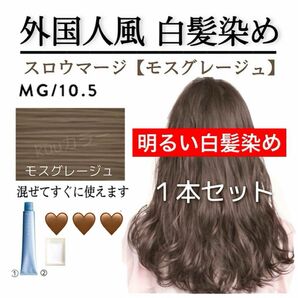 スロウカラー 白髪染め スロウマージ【ヘアカラー ホワイトブリーチ アディクシー プリミエンス ムラシャン オキシ同梱割有】