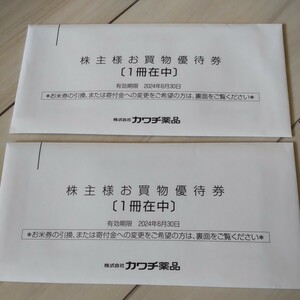 カワチ薬品 株主優待 10000円分(500円×10枚×2冊セット)◆有効期限2024年6月30日まで◆未開封