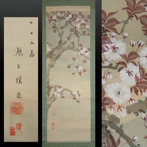 【模写】 蔵壷◆『熊谷桜岳 桜花図』 1幅 古筆 古文書 古書 日本画 花鳥画 茶掛軸