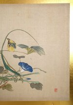 整理品 【模写】 蔵壷◆『花鳥図 扁額』 1額 古筆 古文書 古書 日本画 花鳥画 中国絵画_画像4