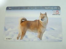 未使用 保管品☆日本ペットフード NIPPON PET FOOD 北海道犬 50度数 テレカ テレホンカード_画像1