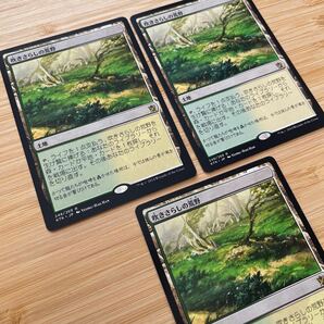 吹きさらしの荒野日本語 MTG 3枚組