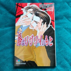 遠野春日　唇はワザワイのもと　新書★