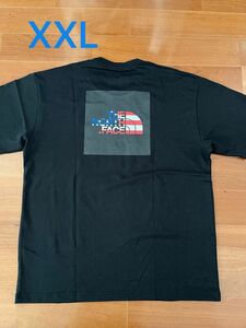 THE North Face ノースフェイス Tシャツ XXL