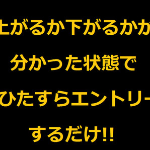 ★月末終了限定価格★利益上げすぎで口座凍結していますので超お得5点セットオリジナル手法＆サインツールをお譲りします！！の画像6