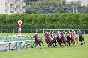 ★★三連複６点で回収率２００％確実　競馬手法！JRA限定【まとめ買い可能】★★