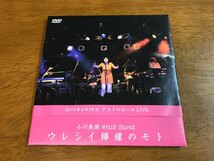 J6/DVD-R 小川美潮 4 to 3 Band ウレシイ檸檬のモト 2014年4月25日アストロホールLIVE_画像1