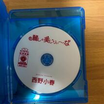 西野小春 Blu-ray『麗しの美じりぃ～な』　アイドル_画像3