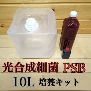 【１０Ｌ用】光合成細菌 PSB バクテリア 培養キット 