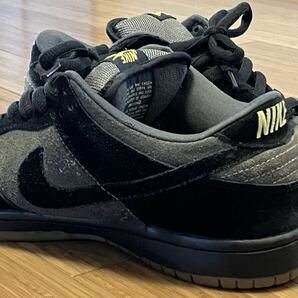 ◆NIKE SB◆DUNK LOW PRO SP◆Chocolate◆27.5cm◆US9.5◆305162-001◆2002◆の画像7