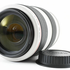 【美品】 Canon キャノン 望遠ズームレンズ EF70-300mm F4-5.6L IS USM フルサイズ対応 【動作確認済み】 #1317の画像1