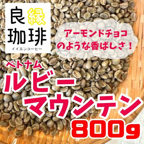 生豆 800g ベトナム アラビカ ルビーマウンテン G1 スペシャリティコーヒー 珈琲豆 コーヒー豆 自家焙煎用