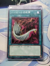 遊戯王　制限魔法12種セット　大嵐/死者蘇生/ハーピィの羽根帚/封印の黄金櫃/手札抹殺/一時休戦/簡易融合/おろかな埋葬/盆回し/増援　他_画像8