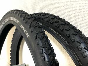 【送料無料特価】Schwalbe Black Jack 18×1.90 2本セット 《18インチ/ETRTO335》