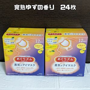 【１２枚】完熟ゆずの香り めぐりズム　蒸気でホットアイマスク　１２枚入