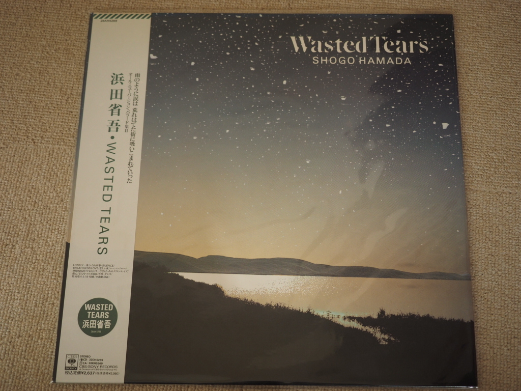 Yahoo!オークション -「浜田省吾 wasted tears lp」(レコード) の落札 