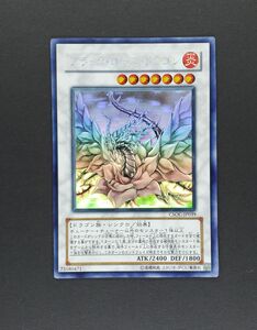 遊戯王 OCG ブラック・ローズ・ドラゴン　ホログラフィック レア　ホロ　新品未使用