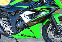 BEETフルエキ!! バックステップ装着!! 始動動画+画像75枚掲載!! NINJA 250SL 検)ニンジャ 250SL_画像7