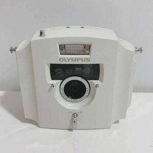  Olympus OLYMPUS Ecru compact film camera 35mm 1:3.5 ecru white electrification has confirmed 